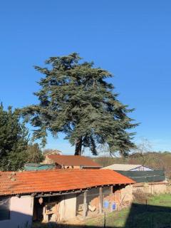 une parenthèse pour l'harmonie - 1