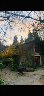 Monte Brugiana Centro trekking a cavallo - 9