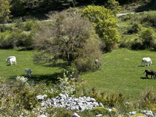 Tente Lodge transparente a 45 min de Nice VOIE LACTEE - 2