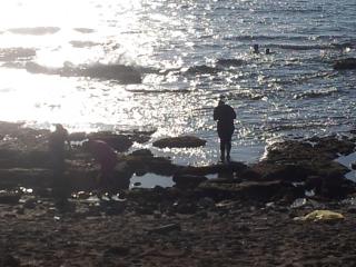 beach Apartments - 3