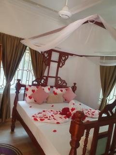 White Jaguar House - 9