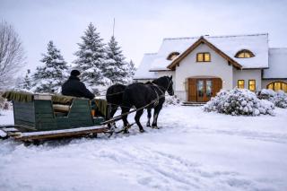 Csoda Szarvas Birtok - 7