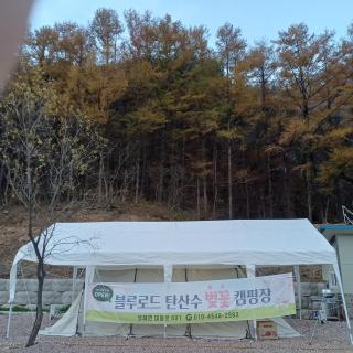 영덕 천연 탄산수 캠핑장 - 9