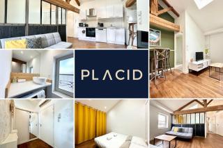 Le Petit Landais - Chaleureux - Clim - Central - 3