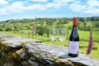 Benar Cottages - Y Llaethdy - 7