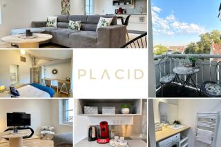 Le Cocon Landais - Clim - Balcon - Central - Spacieux - Lumineux - 1