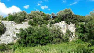 Posta Santa Croce - Bisceglie - 1