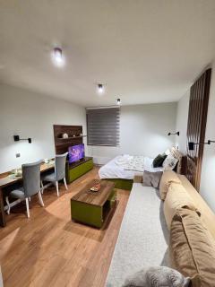 Apartman Mist - Bela reka Brzeće - 9