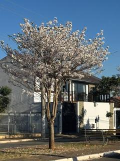 Pousada Carro de Boi - 9