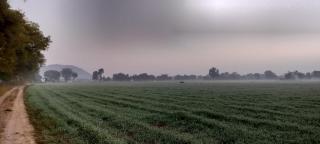 Camping at Khajuraho Permaculture Farm - 1