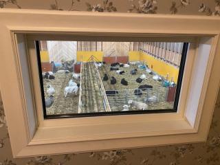 Newly built apartment next door to the sheep - 8