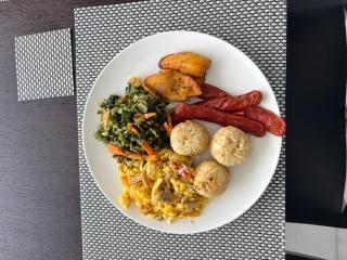 Skyfall villa ocho rios - 8