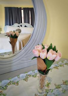 Refugio Encantador - Santo Domingo - 6