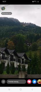 Apartamente Casa Albu - 8