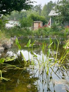 Refuge nature en forêt quartier paisible Parc des Chutes - 0