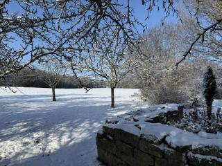 Ferienhaus am stillen Hain - 8