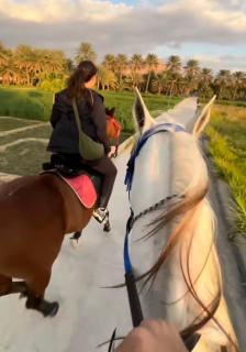 نزل نسيم الحمراء - nseem alhamra inn - 7