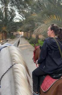 نزل نسيم الحمراء - nseem alhamra inn - 6