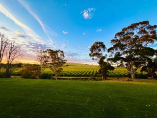 Norm's Vineyard Retreat - 1