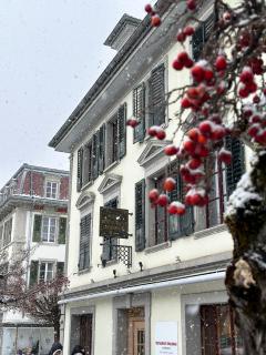 Hotel Rebstock Meiringen - 3
