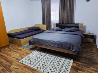 Casa Trandafirilor Calimanesti - 8