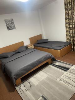 Casa Trandafirilor Calimanesti - 6