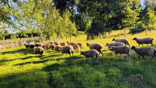 Casa Pampa Bonita - 8