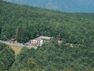 Albergo Le Macinaie - Monte Amiata - Castel del Piano - 8
