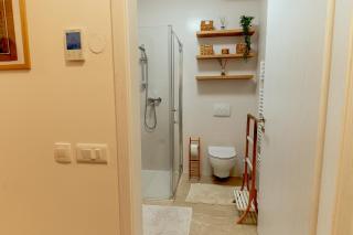 Anur Apartment - Ptuj - 2
