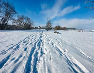 Ferienwohnung Seestadel - 1