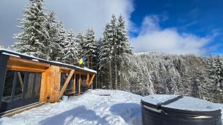 Ținutul Lupilor - 6