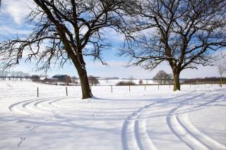 Bungalowpark Landsrade - 7