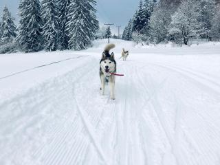 Horský apartmán Mia Bedřichov - 1