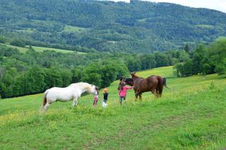 Gîte L'écrin du dessoubre, 10 pers, site exceptionnel - 2
