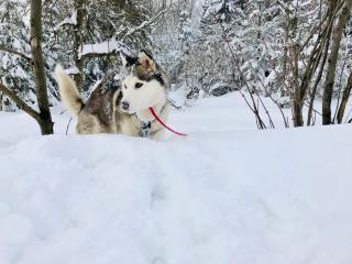 Horský apartmán Mia Bedřichov - 7