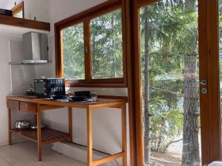 Cabaña Playa Lago Gutiérrez 2 - 4