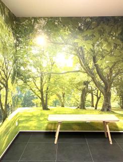 Haus Schloßbergblick - 9