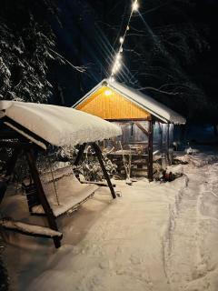 Cabana Huta Sinteu - Şinteu - 2