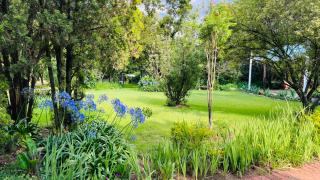 Midrand Manor Guesthouse - 9