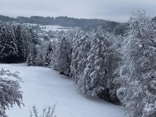 Ferienwohnung am Leinbach, nahe Freudenstadt - 8