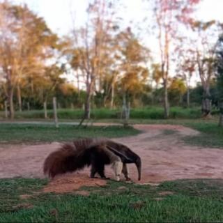 Chalés Pocoó com acesso ao rio - 8