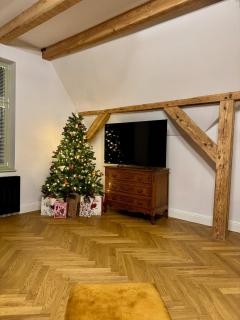 Apartament Duża Secesja - dla wyjątkowych gości, więcej niż hotel - 120 lat historii, komfort, prywatność - 7