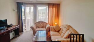 Downtown Resort Bansko- Eliko Suite - 7