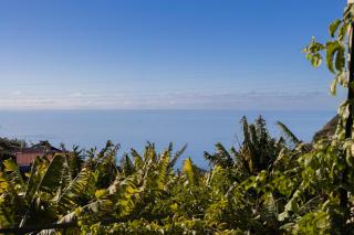 Romantic Seaview Wine House in Madeira - 5