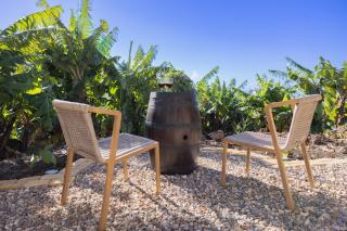 Romantic Seaview Wine House in Madeira - 1