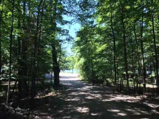 Private Home 2 miles to Downtown Bellaire - 7