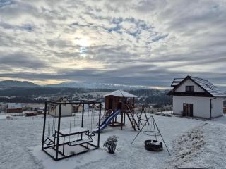 Dziewięćsił &Chaber _domki blisko lasu - 8