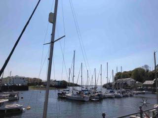 Stylish Cosy Town Centre Duplex - Close to Harbour - 6