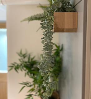 Stylish Cosy Town Centre Duplex - Close to Harbour - 2