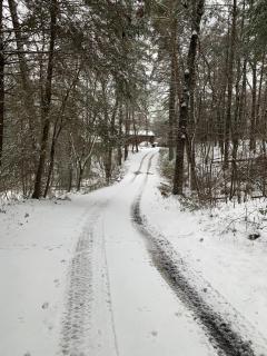Peak-a-Blue Cabin - Watch Movies from Hot Tub, Mountain View, Bigfoot Bunker Game Room, Fire Pit, Oversized Deck, Screened-in Porch - 4